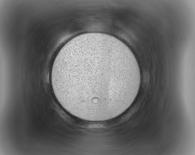 X0000086271462200704262006