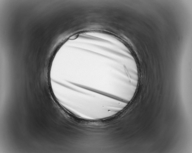 X0000086271464200704262006