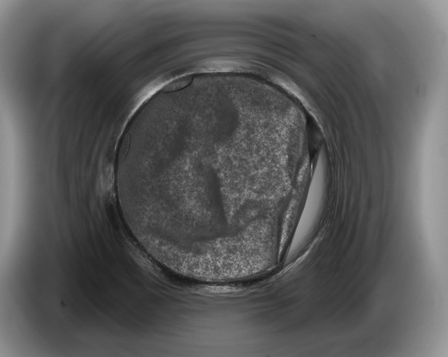 X0000086271465200704262006