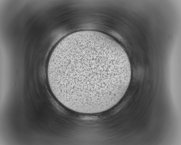 X0000086271466200704262006