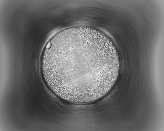 X0000086271467200704262006