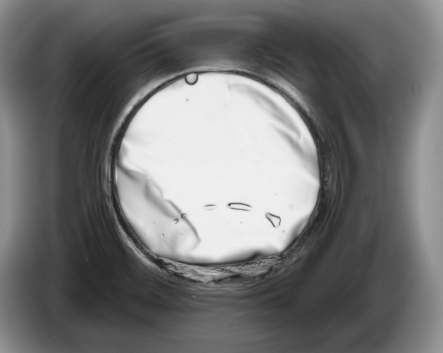 X0000086271468200704262006