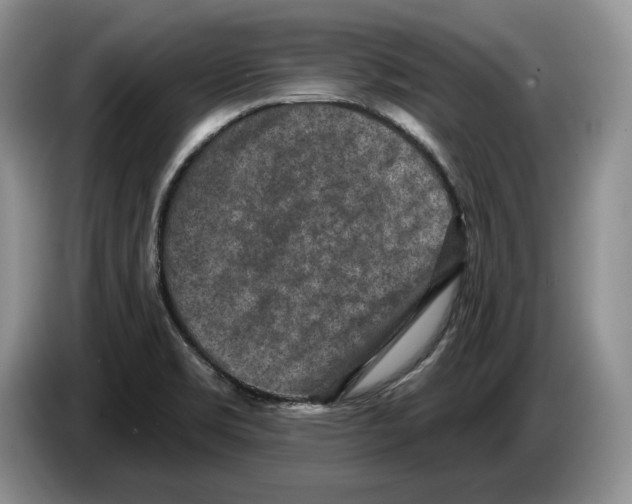 X0000086271469200704262006