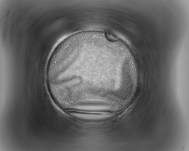 X0000086271471200704262006