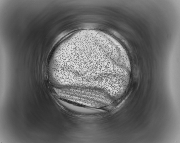 X0000086271473200704262006
