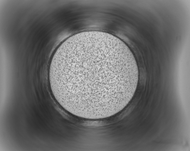 X0000086271474200704262006