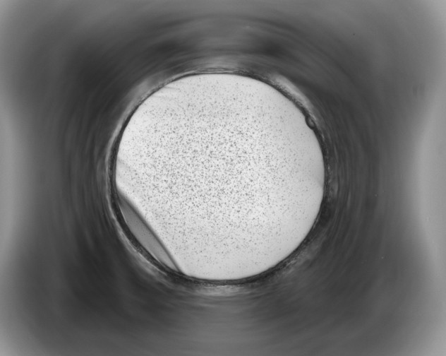 X0000086271475200704262006