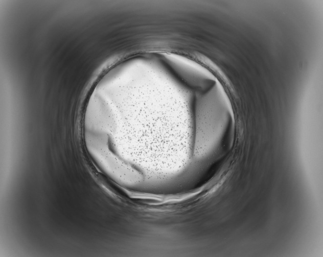 X0000086271477200704262006