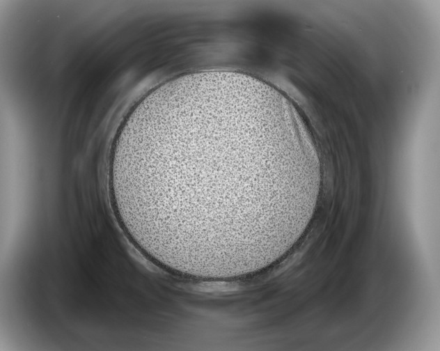 X0000086271478200704262006