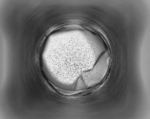 X0000086271481200704262006