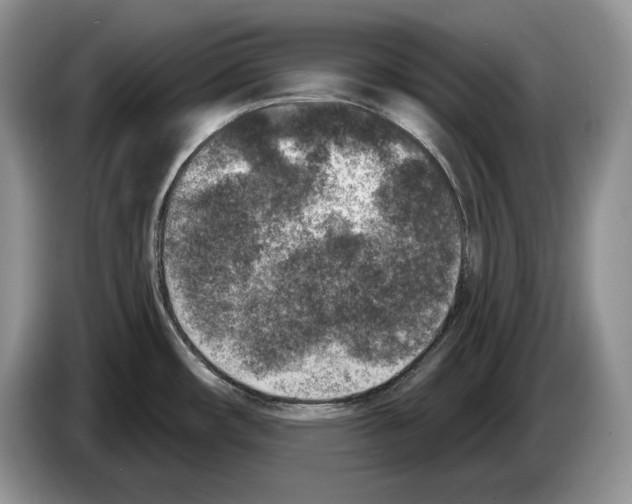 X0000086271482200704262006