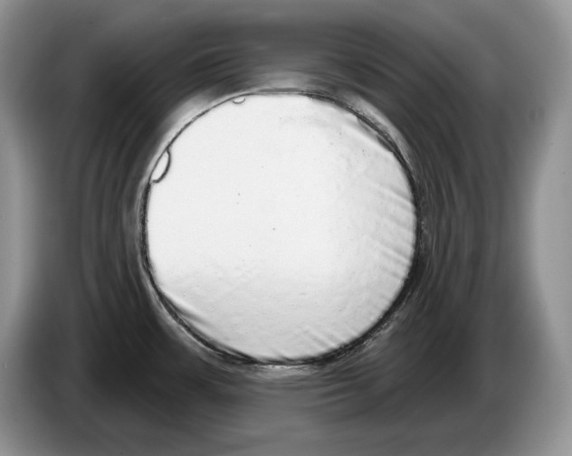 X0000086271483200704262006