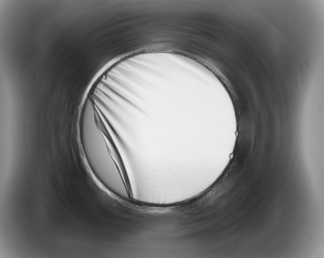 X0000086271484200704262006
