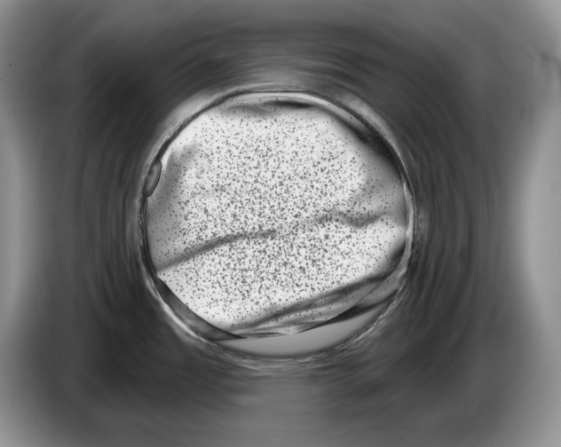X0000086271485200704262006