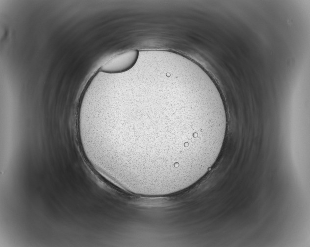 X0000086271486200704262006
