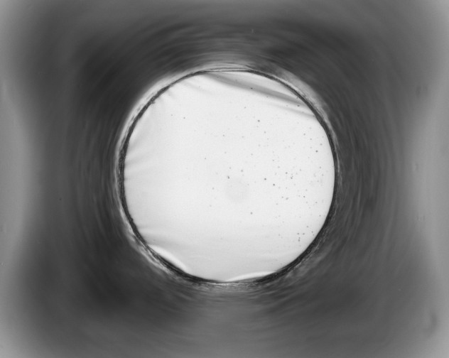 X0000086271488200704262006