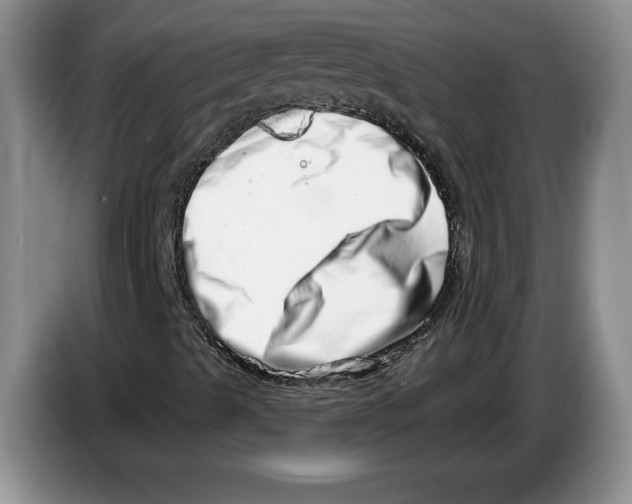 X0000086271489200704262005