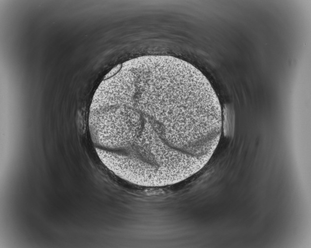 X0000086271491200704262005