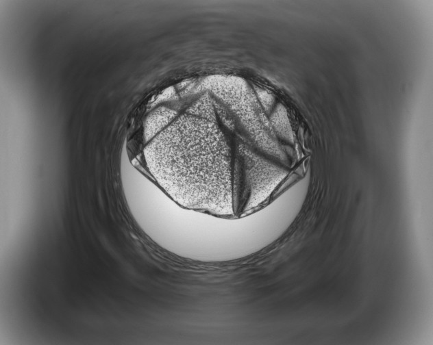 X0000086271492200704262005
