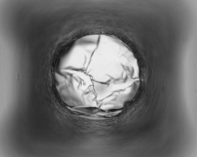 X0000086271493200704262005