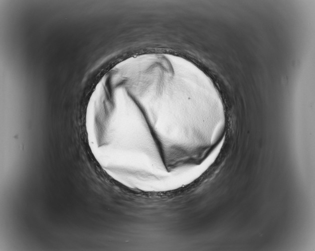 X0000086271494200704262005