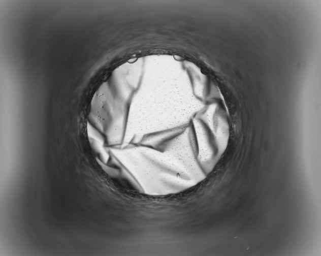 X0000086271495200704262005