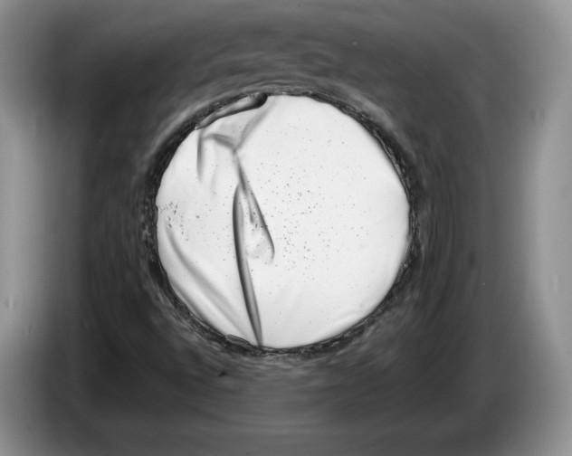 X0000086271496200704262005