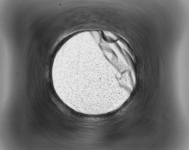 X0000086271499200704262006