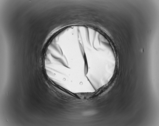 X0000086271501200704262006