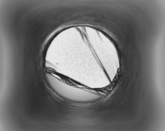 X0000086271502200704262006