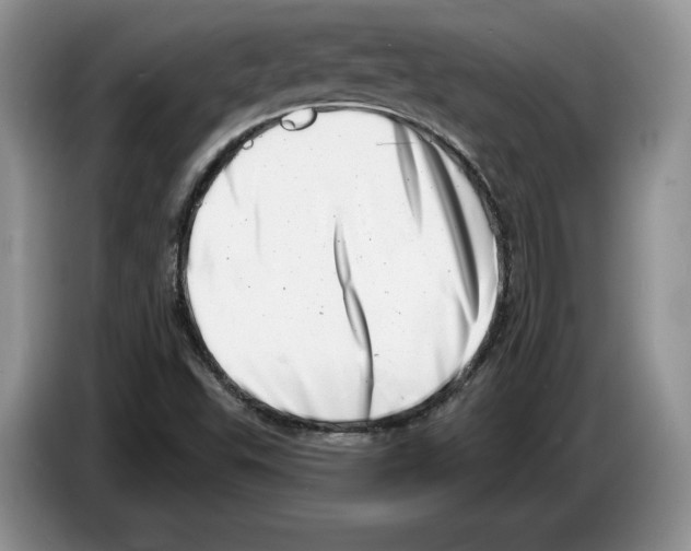 X0000086271503200704262006