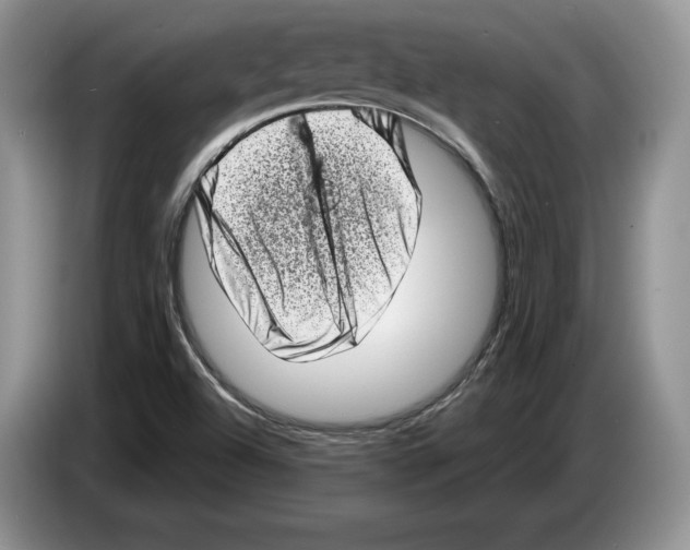 X0000086271504200704262006