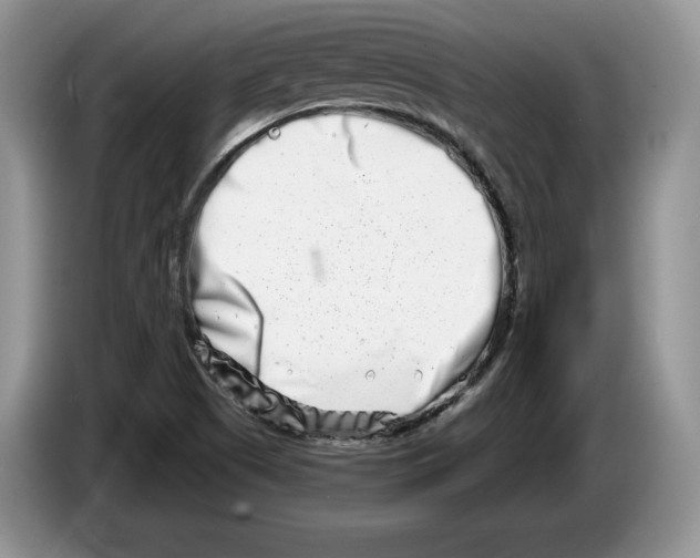 X0000086271505200704262006