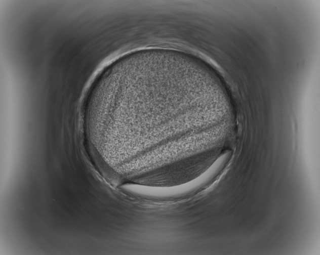 X0000086271506200704262006