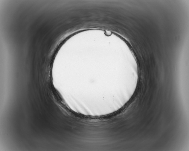 X0000086271507200704262006