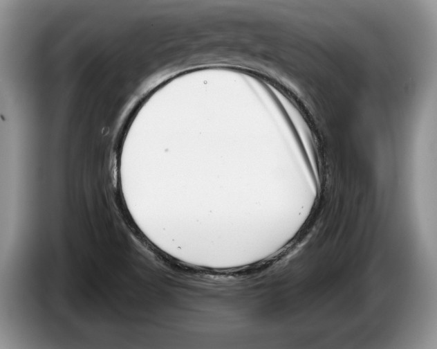 X0000086271509200704262006
