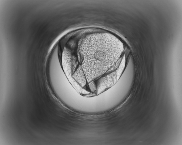 X0000086271510200704262006