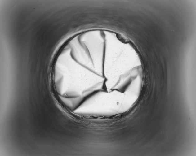 X0000086271511200704262006