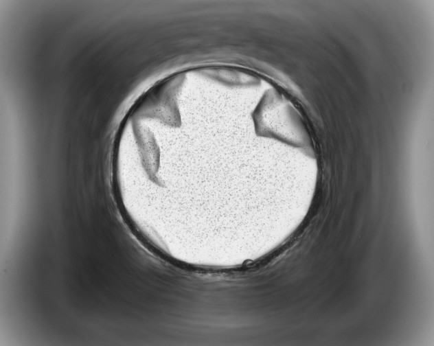 X0000086271512200704262006