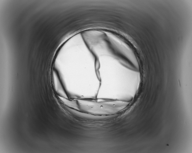 X0000086271513200704262006