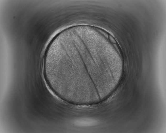 X0000086271515200704262006