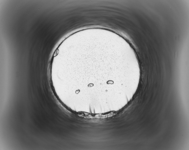 X0000086271516200704262006