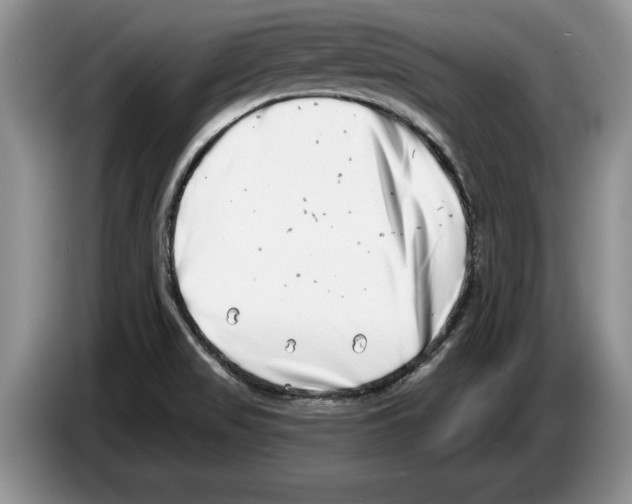 X0000086271517200704262006
