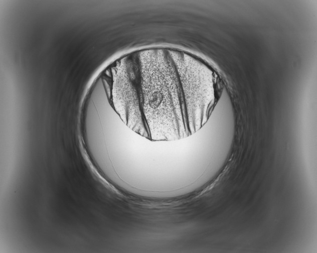 X0000086271518200704262006