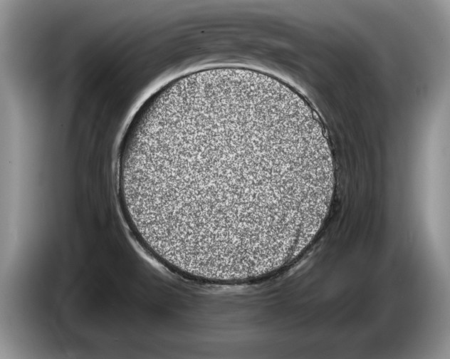 X0000086271519200704262006