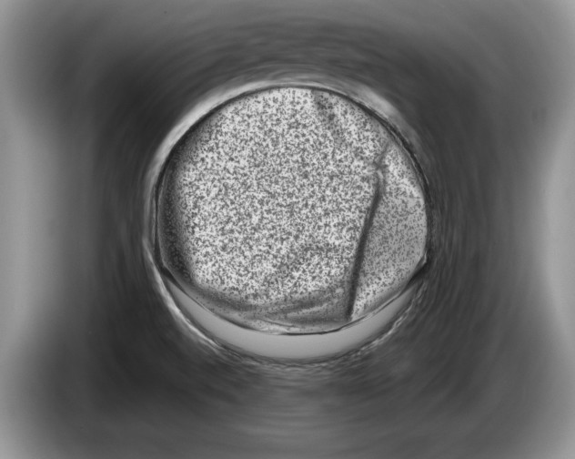 X0000086271520200704262006