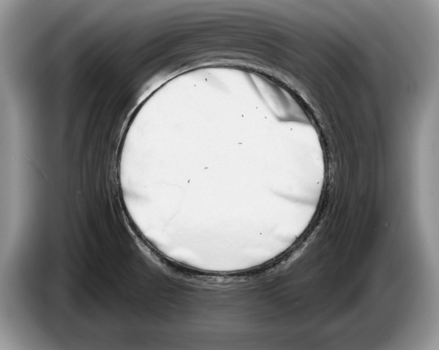 X0000086271521200704262006