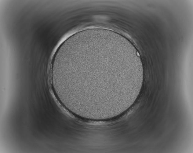 X0000086271522200704262006