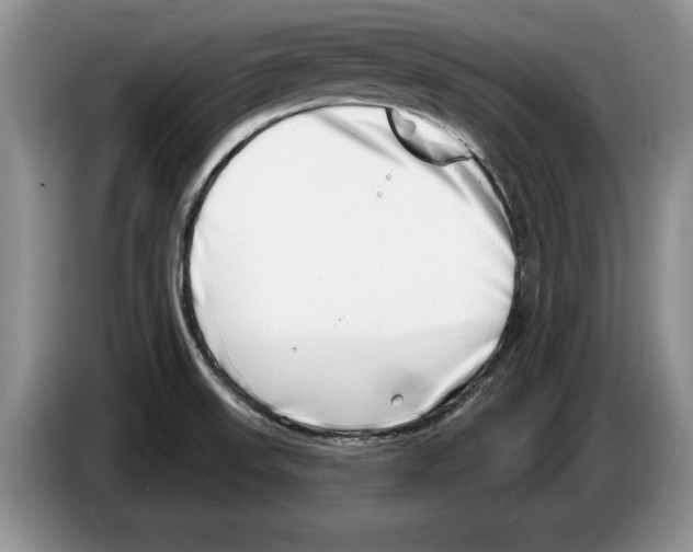 X0000086271523200704262006