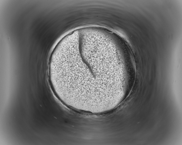 X0000086271524200704262006